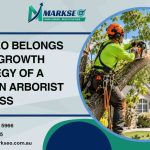 Why SEO Belongs in the Growth Strategy of a Modern Arborist Business